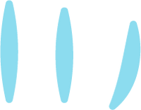 Shrijana Sorari Bom's signature